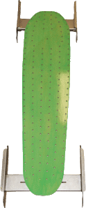 board-up-green